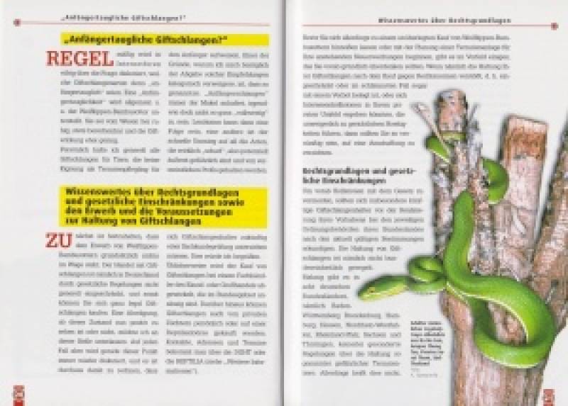 Preview: Die Weißlippen-Bambusotter